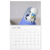 Calendrier Palooza Parakeet (Jan 2026)