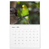 Calendrier Palooza Parakeet (Mar 2026)