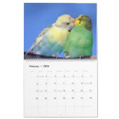 Calendrier Palooza Parakeet (Feb 2026)