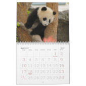 Calendrier PandaM016, ours panda géant (Jan 2027)