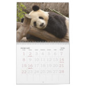 Calendrier PandaM016, ours panda géant (Feb 2026)