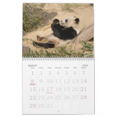 Calendrier PandaM016, ours panda géant (Mar 2026)