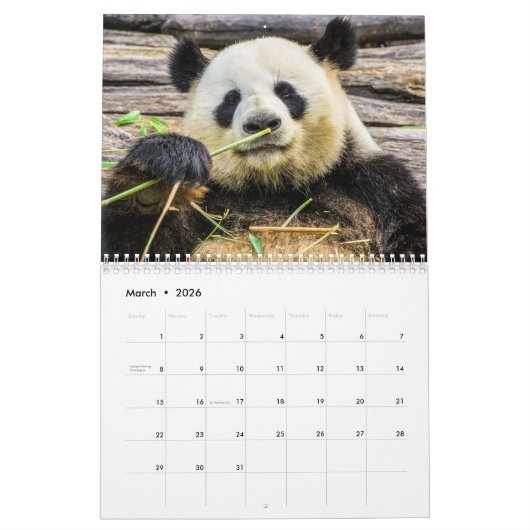 Calendrier Pandas adorables 2026 (Mar 2026)