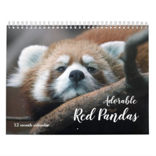 Calendrier Pandas rouges adorables 2025