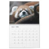 Calendrier Pandas rouges adorables 2026 (Mar 2026)