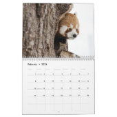 Calendrier Pandas rouges adorables 2026 (Feb 2026)