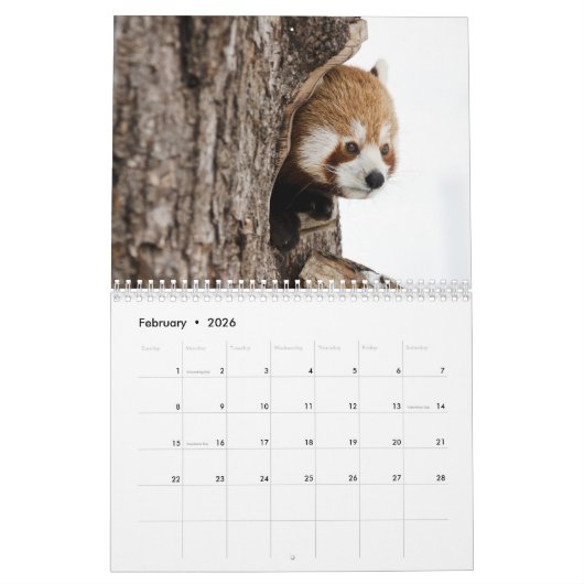 Calendrier Pandas rouges adorables 2026 (Feb 2026)