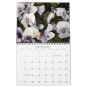 Calendrier ~ Pansies en cours de lecture (Jan 2027)