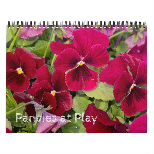 Calendrier ~ Pansies en cours de lecture (Protection)