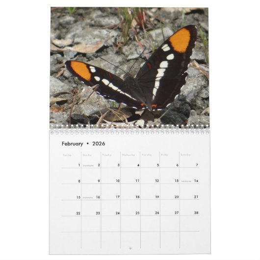 Calendrier papillon (Feb 2026)
