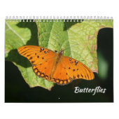 Calendrier papillon (Protection)