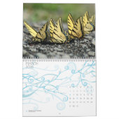 Calendrier papillon (Mar 2026)