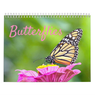 Calendrier papillon