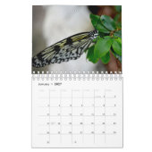 Calendrier Papillon (Jan 2027)