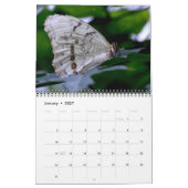 Calendrier Papillon (Jan 2027)