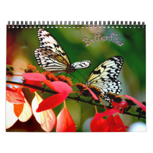 Calendrier Papillon