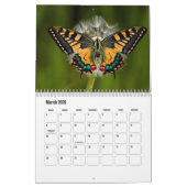 Calendrier papillon (Mar 2026)