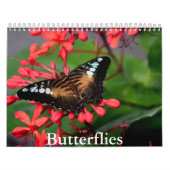Calendrier papillon (Protection)