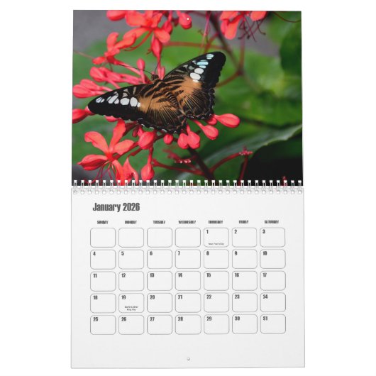 Calendrier papillon (Jan 2026)