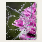 Calendrier papillon (Dos)
