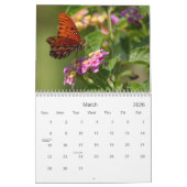 Calendrier papillon (Mar 2026)