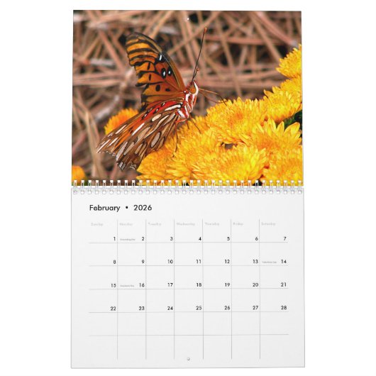 Calendrier papillon 2023 (Feb 2026)