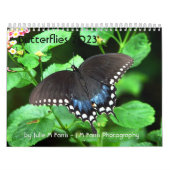 Calendrier papillon 2023 (Protection)