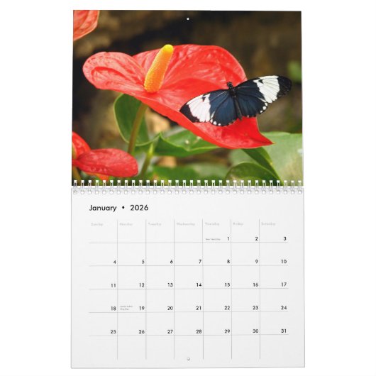 Calendrier papillon 2023 (Jan 2026)