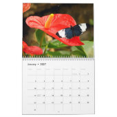 Calendrier papillon 2023 (Jan 2027)