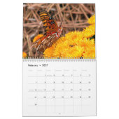 Calendrier papillon 2023 (Feb 2027)