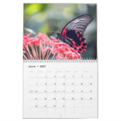 Calendrier Papillon 2025 (Mar 2027)