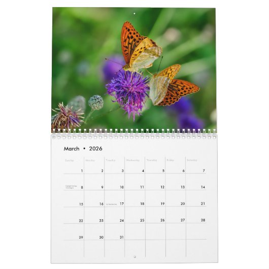 Calendrier Papillon 2025 (Mar 2026)