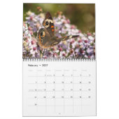 Calendrier papillon 2026 (Feb 2027)