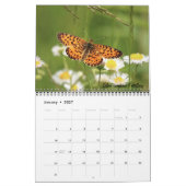 Calendrier papillon 2026 (Jan 2027)