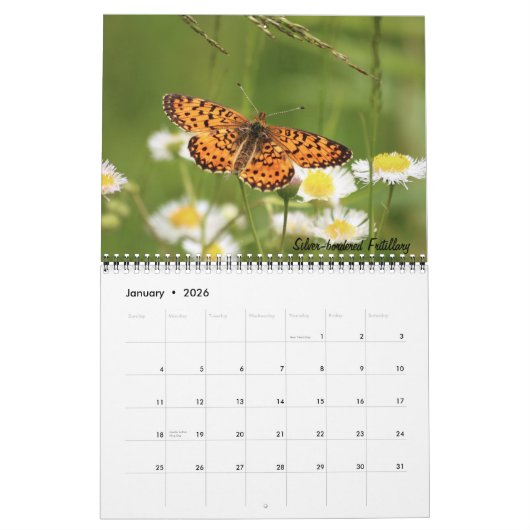 Calendrier papillon 2026 (Jan 2026)