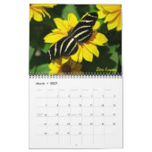 Calendrier Papillon 2027 (Mar 2027)