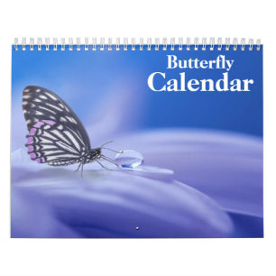 Calendrier Papillon 2027