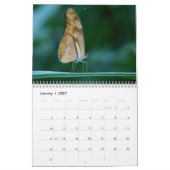 Calendrier Papillon 2027 (Jan 2027)