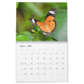 Calendrier Papillon 2027 (Mar 2027)