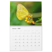 Calendrier Papillon 2027 (Jan 2027)