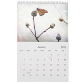 Calendrier Papillon Monarque Beaux-Arts Nature Photos (Jan 2026)