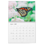 Calendrier Papillon photo moderne (Mar 2027)