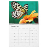 Calendrier Papillon photo moderne (Jan 2027)