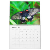 Calendrier Papillon photo moderne (Feb 2027)