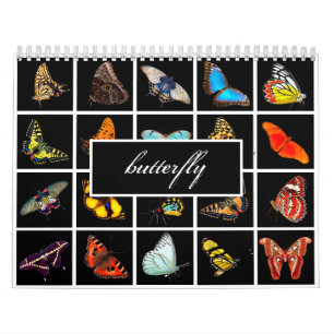 Calendrier Papillon photographique moderne
