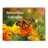Calendrier Papillons (Protection)