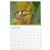 Calendrier Papillons (Mar 2027)