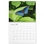 Calendrier Papillons (Jan 2027)
