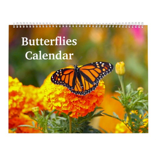 Calendrier Papillons (Protection)