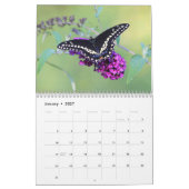 Calendrier Papillons (Jan 2027)